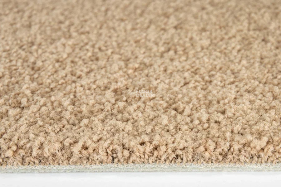 Vorwerk Superior 1065/Viola Vorwerk 7g75 фото 3 | FLOORDEALER